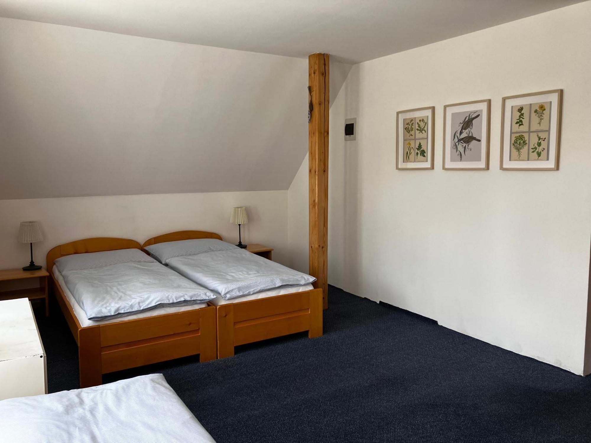 Penzion Haji Janov nad Nisou Room photo