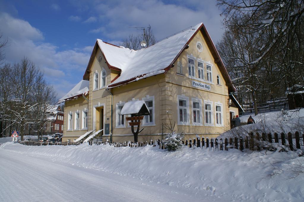Penzion Haji Janov nad Nisou Exterior photo